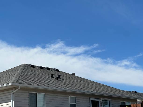 Fast & Reliable Emergency Roof Repairs in Bosque Farms, NM